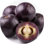 Ekstrakt z jagody acai
